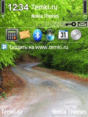 Дорога в лесу для Nokia 6110 Navigator