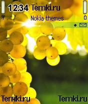 Виноград для Nokia 6670