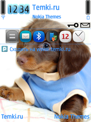 Милый Щеночек для Nokia N81
