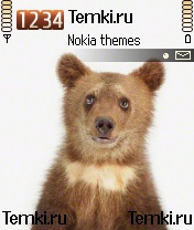 Медведенок для Nokia 6638