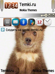 Медведенок для Nokia 6760 Slide