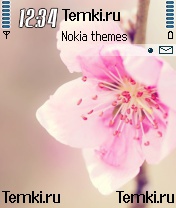 Прекрасный Цветок для Nokia 6681