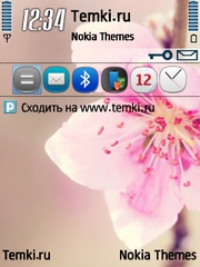 Прекрасный Цветок для Nokia X5-01