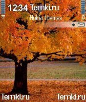 Осень для Nokia N72