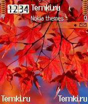 Красные листики для Nokia N90