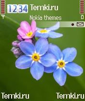 Скриншот №1 для темы Цветы