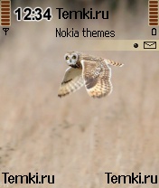 Полет совы для Nokia 6620