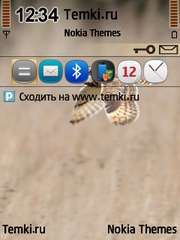 Полет совы для Nokia N96