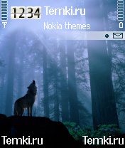 Волк для Samsung SGH-Z600