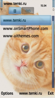 Скриншот №3 для темы Рыжий кот