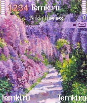Садовая дорожка для Nokia N70