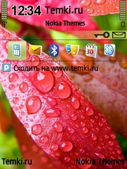 Листья  в каплях росы для Nokia N91