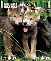 Щенки волка для Nokia N70