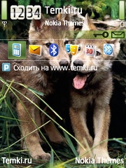 Щенки волка для Nokia 6210 Navigator