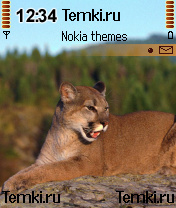 В задумчивости для Nokia N72