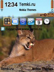 В задумчивости для Nokia N79