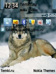 Прекраснейший из волков для Nokia 6290