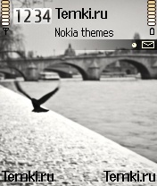 Голубь для Nokia N70