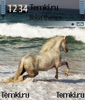 Прекрасный конь для Nokia N90