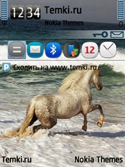Прекрасный конь для Nokia N75