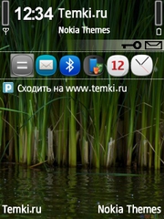 Природа для Nokia 6700 Slide