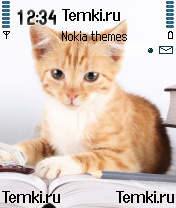 Кошка с книжкой для Nokia 6681