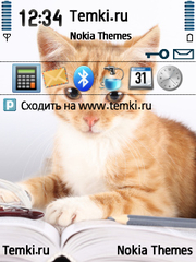 Кошка с книжкой для Nokia 6210 Navigator
