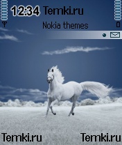 Белая грива для Nokia N72