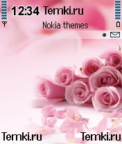 Букет роз для Nokia N90
