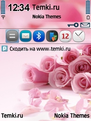 Букет роз для Nokia N79