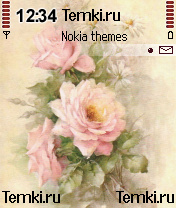 Цветник для Nokia N90