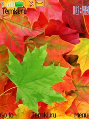 Осенние листья для Nokia 6600i slide