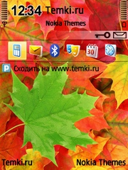 Осенние листья для Nokia 6124 Classic