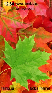 Осенние листья для Nokia 5228