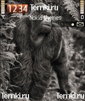 Кинг Конг для Nokia N72