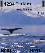 Морская прогулка для Nokia N72