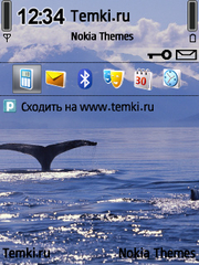 Морская прогулка для Nokia N80