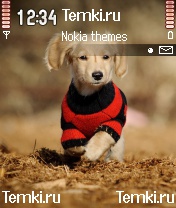 Собака для Nokia N70