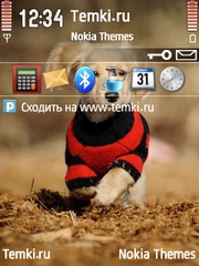 Собака для Nokia E75
