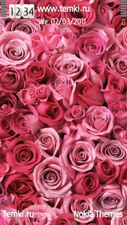 Очень Много Розовых Роз