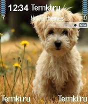 Милая собачка для Nokia N72