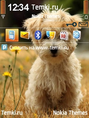 Милая собачка для Nokia C5-00