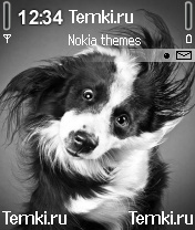 Собака для Nokia 7610