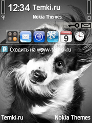 Собака для Nokia 6790 Slide