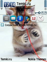 Котенок для Nokia N76