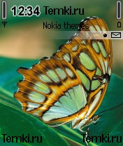 Желтая бабочка для Nokia 6682