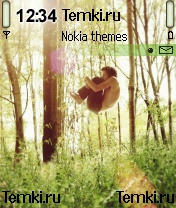 В прыжке для Nokia 7610