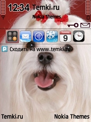 Собака для Nokia E60