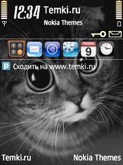 Киса для Nokia N82