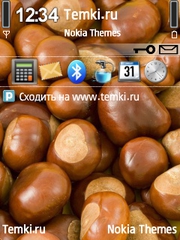 Каштаны для Nokia N95 8GB